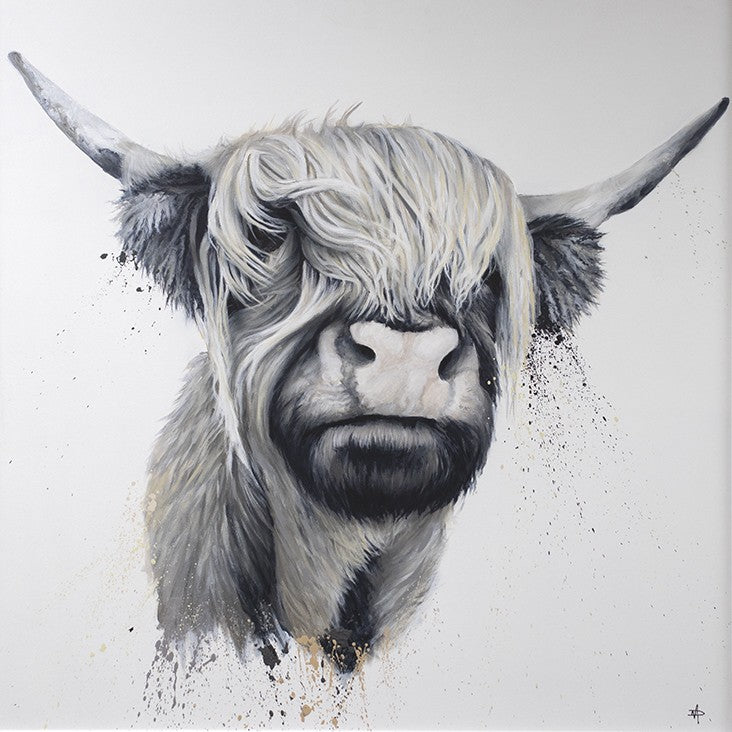 Highland Cow