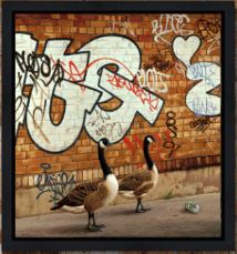 Urban Dwellers