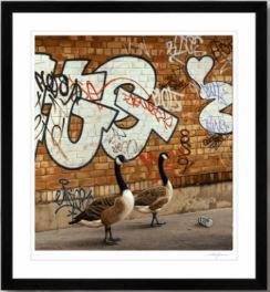 Urban Dwellers