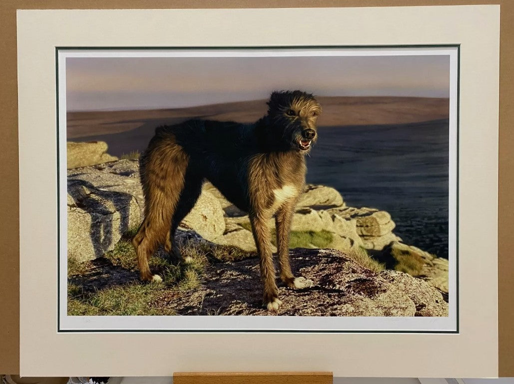 bella mounted print by artist steven townsend