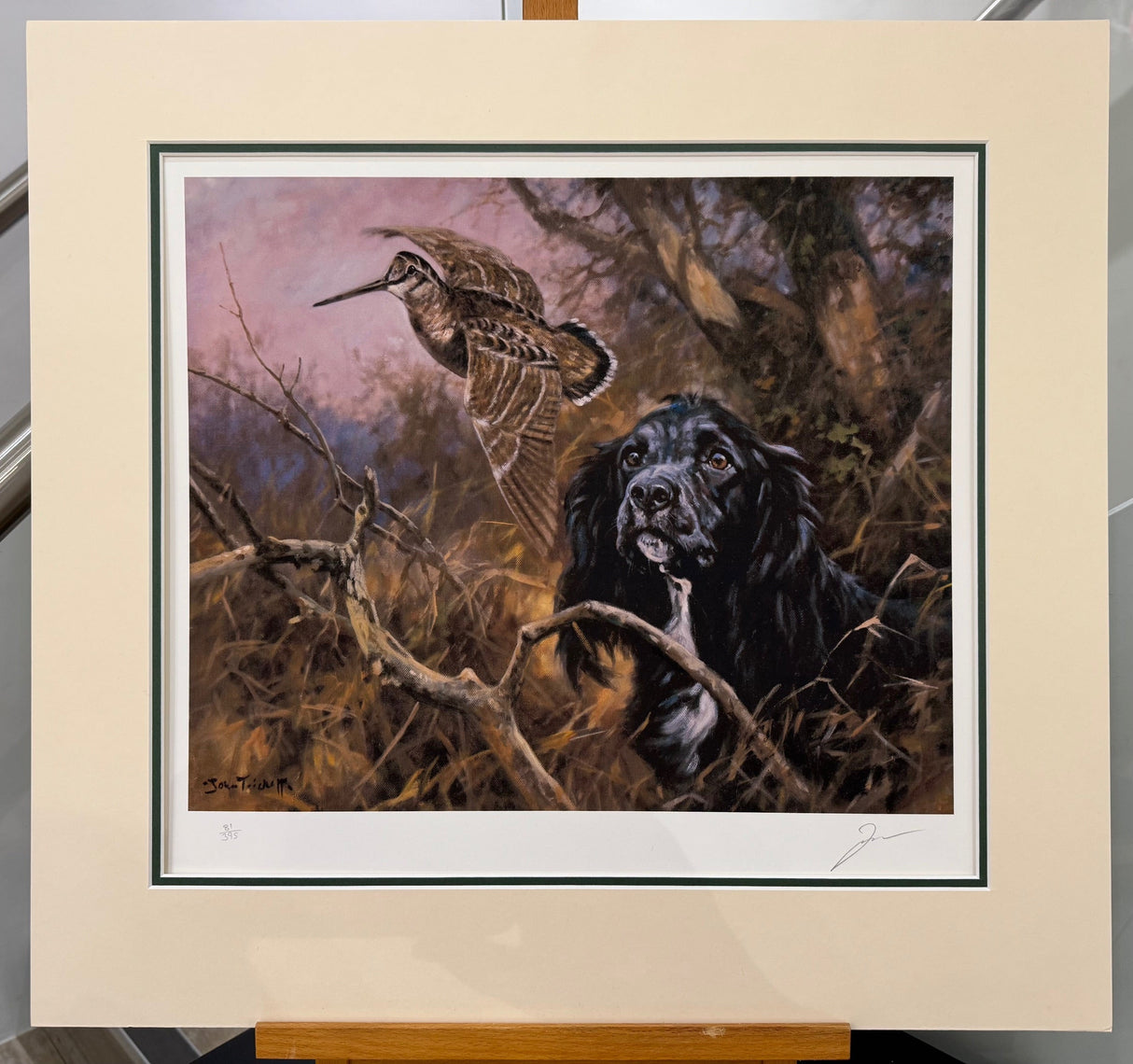 cocker flushing woodcock mounted print by artist mike sibley