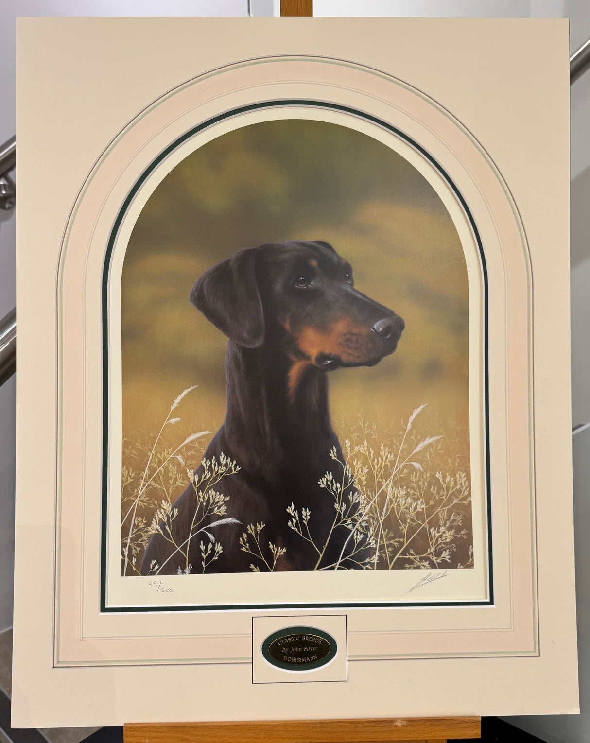 doberman mounted print by artist john silver