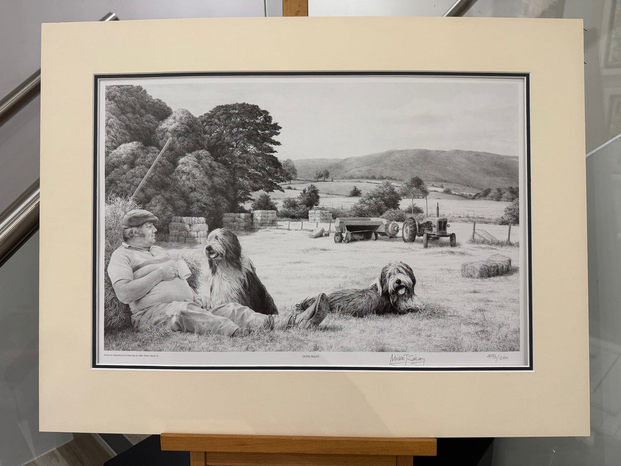 done balin mounted print by artist mike sibley