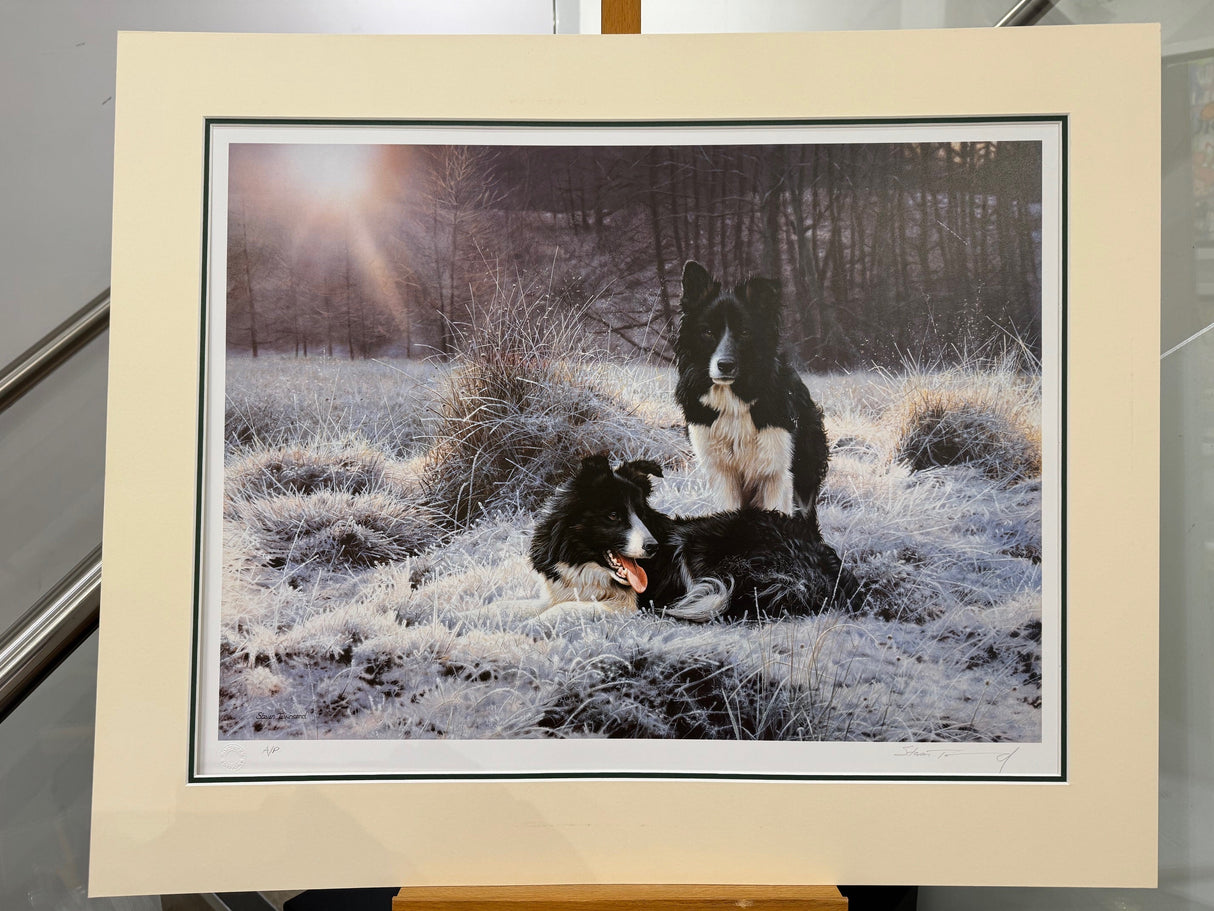 early light mounted print by artist steven townsend