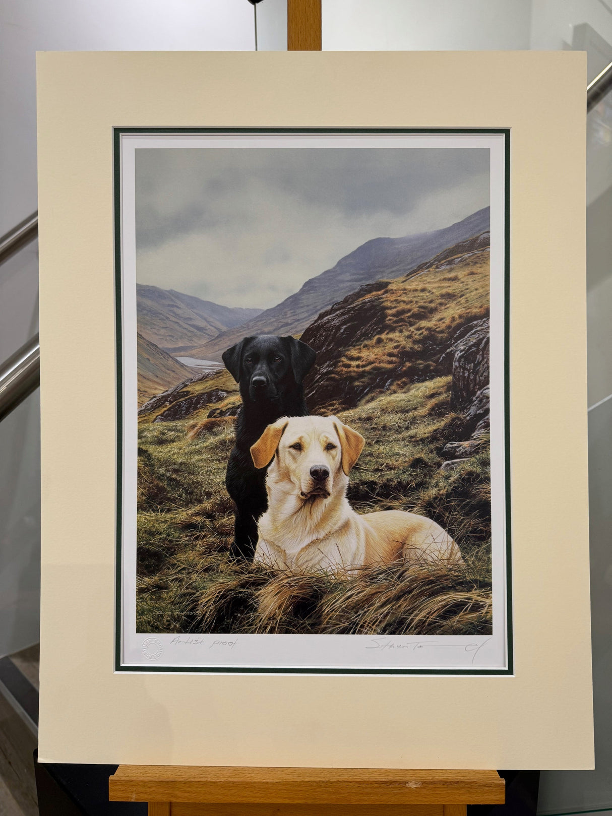 friends artist proof mounted print by rtist steven townsend