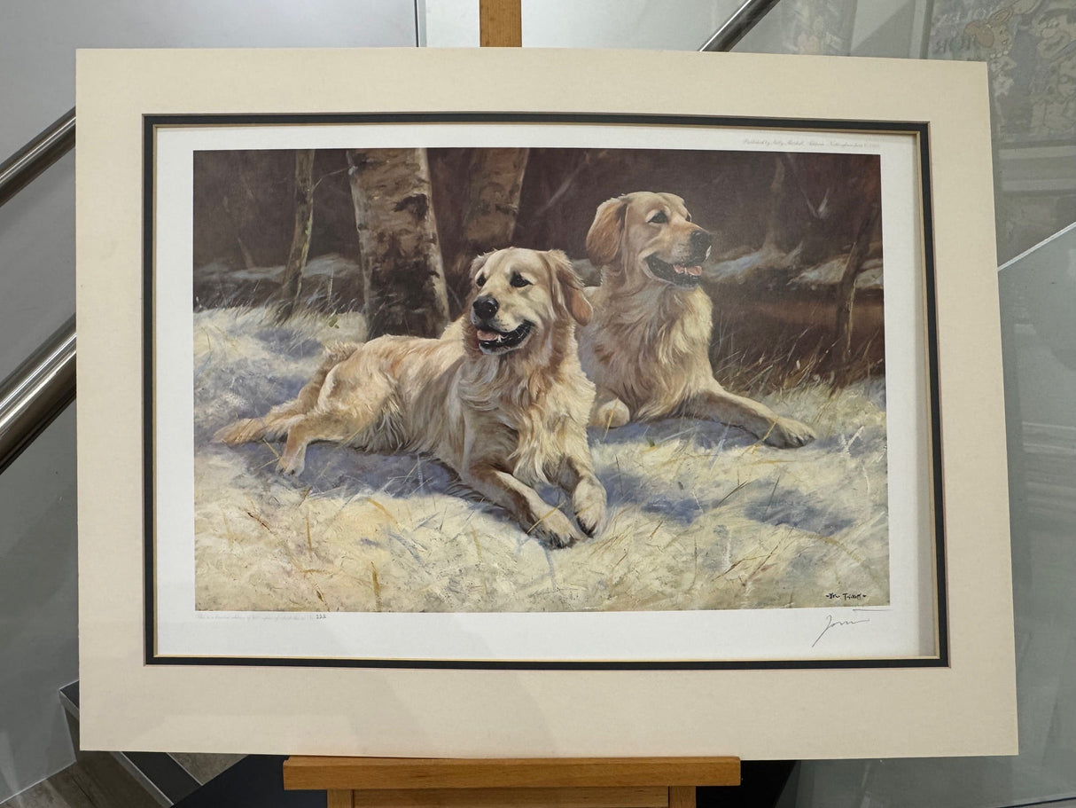 having a break mounted print by artist john trickett