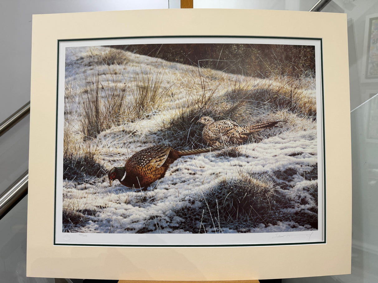 pheasants mounted print by artist steven townsend