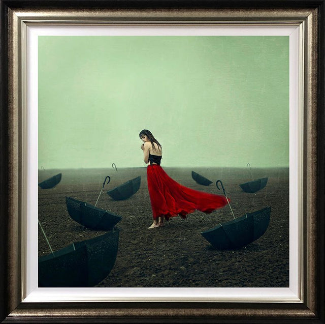 rainy days deluxe framed print by artist michelle mackie