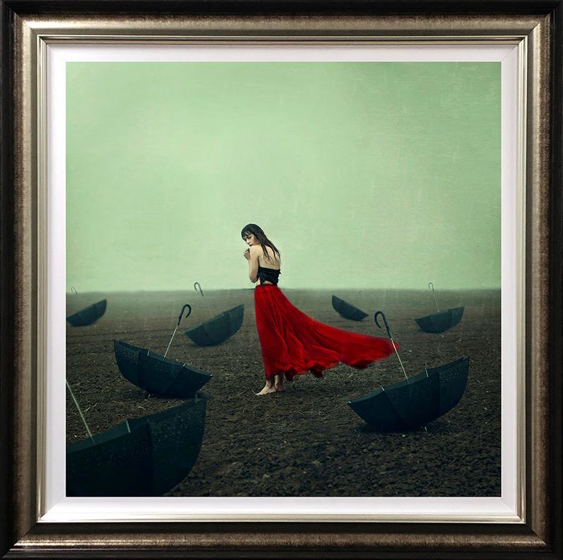 rainy days framed print by artist michelle mackie