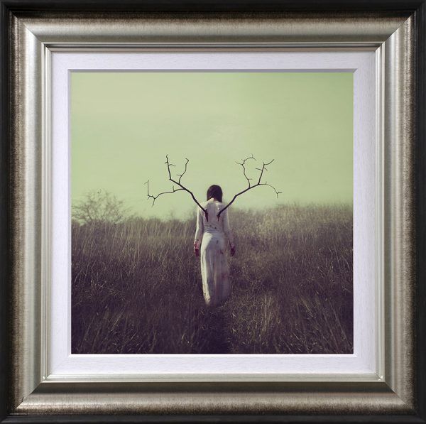 rejuvenating framed print by artist michelle mackie