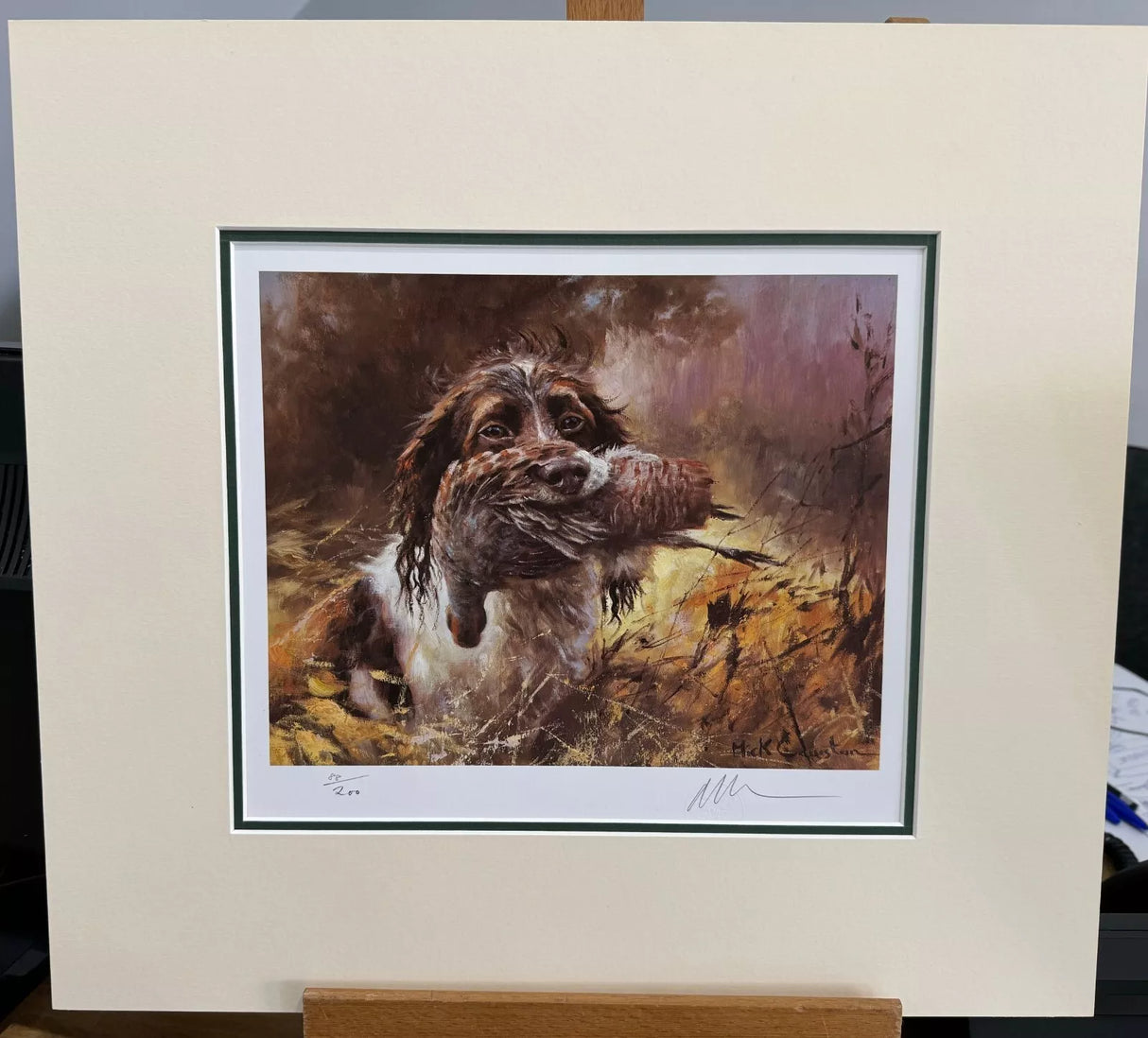 springer retrieving mounted print by artist mick cawston