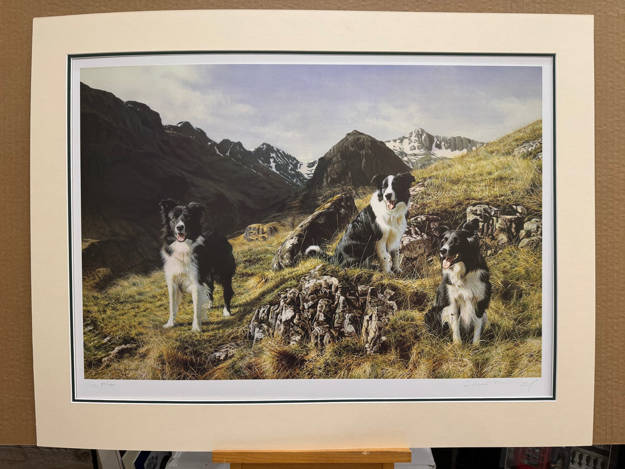 summit meeting mounted print by artist steven townsend