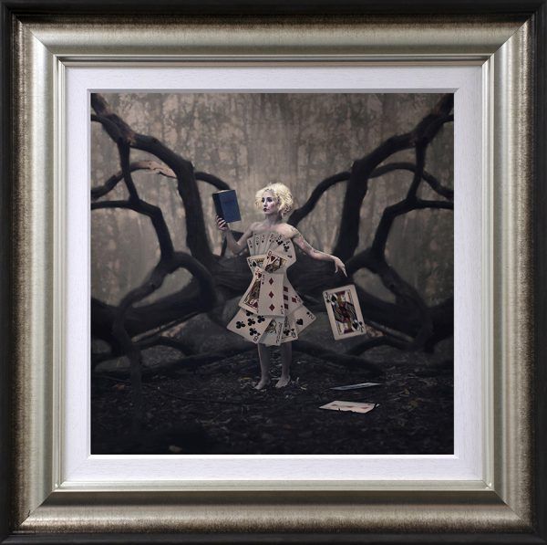 tricks framed print by artist michelle mackie