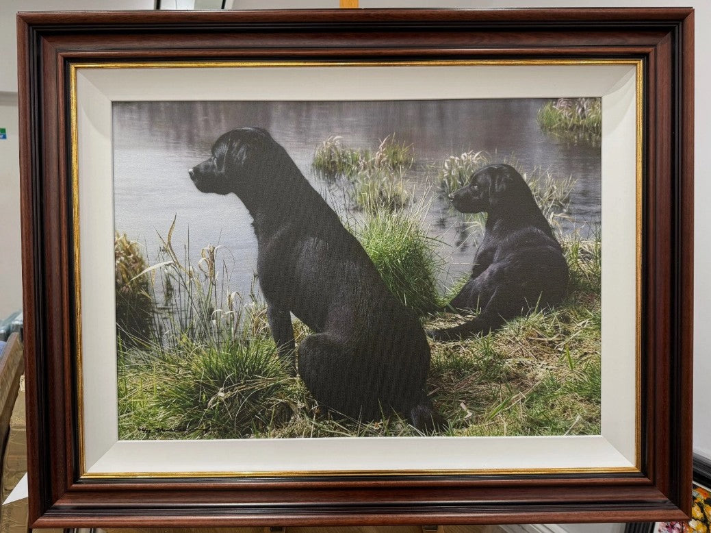 watching and waiting canvas print framed by artist steven townsend
