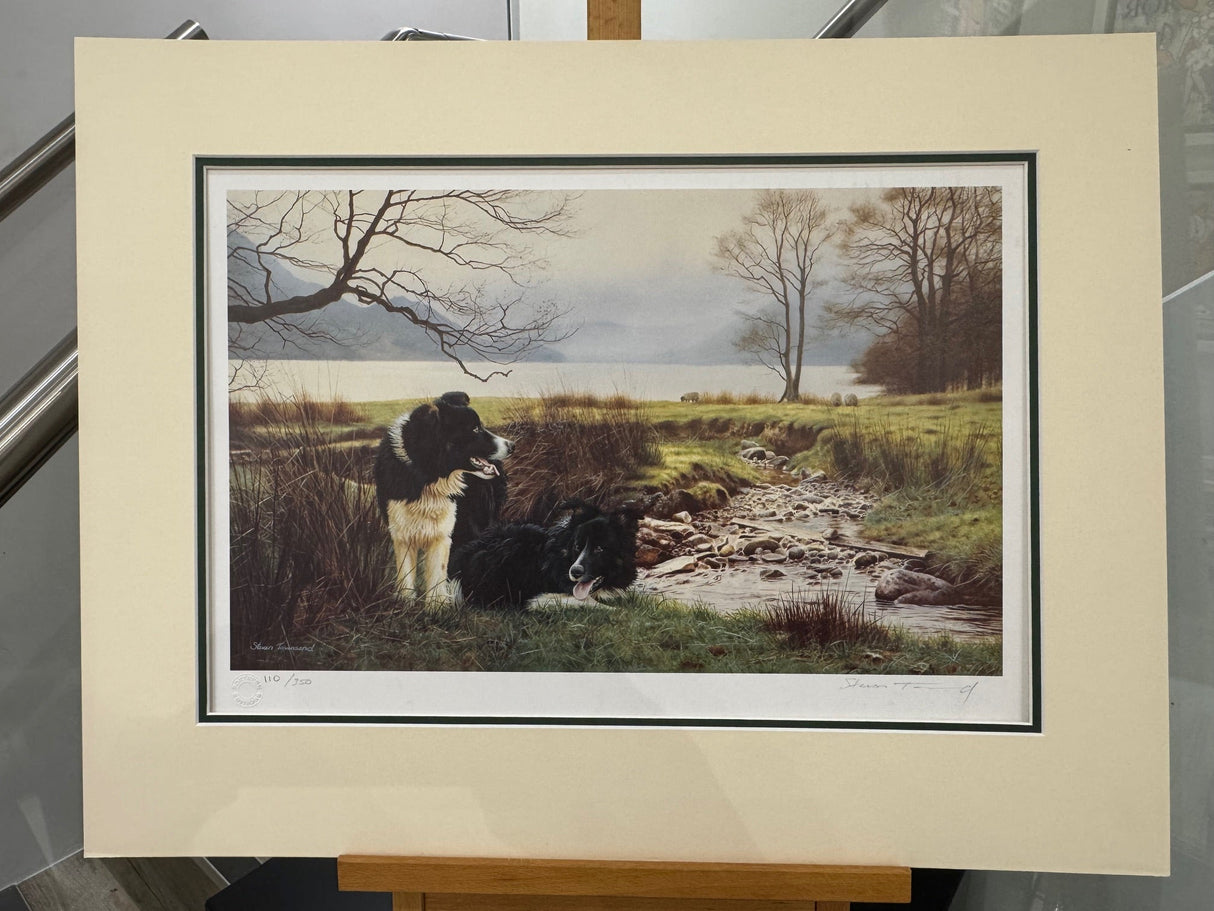 working pair ounted print by artist steven townsend