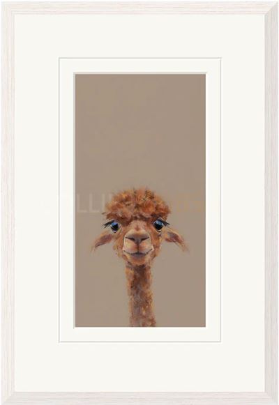 adele framed print by artist nicky litchfield