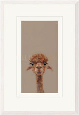 adele framed print by artist nicky litchfield