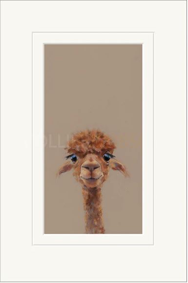 adele mounted print by artist nicky litchfield