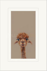 adele mounted print by artist nicky litchfield