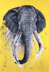 Designer Tusks