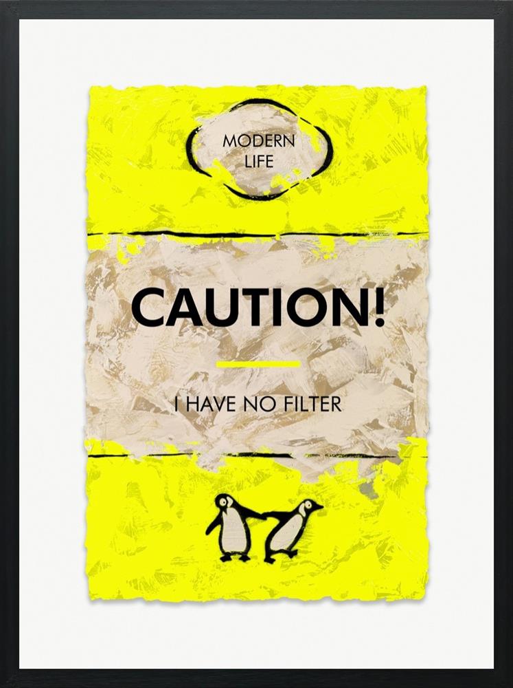 i have no filter framed print by artist hue folk