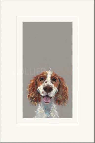 happy go lucky mounted print by artist nicky litchfield