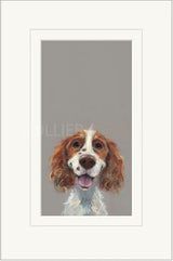 happy go lucky mounted print by artist nicky litchfield