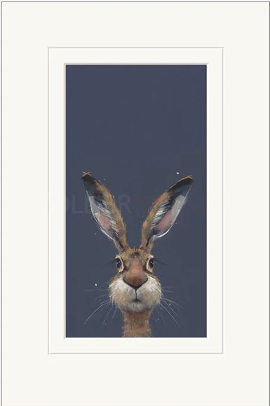 midnight hare mounted print by artist nicky litchfield