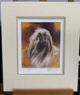 afgan head study mounted print by artist mick cawston