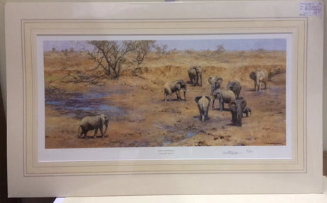 african waterhole mounted print by artist david shepherd