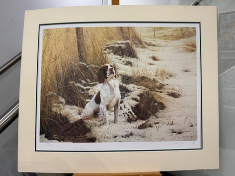 anticipation mounted print by artist steven townsend