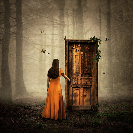 as one door shuts print by artist michelle mackie