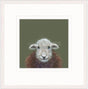 beatrix limited edition print by artist nicky litchfield
