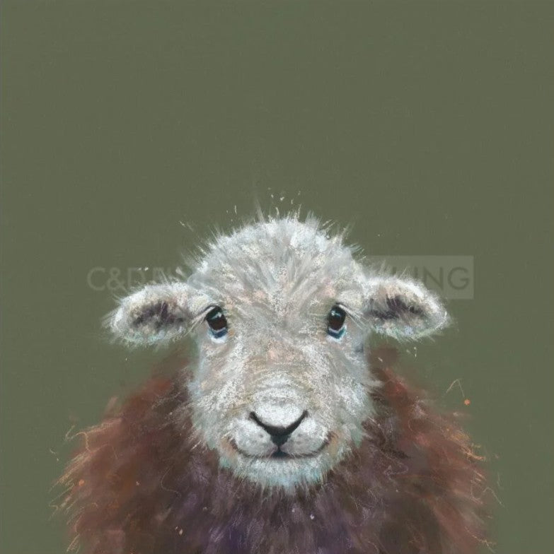 beatrix mounted print by artist nicky litchfield