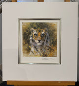 bengal tiger the cameo collection wildlife of the world collection by artist david shepherd