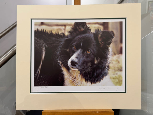 bill artist proof mounted print by artist steven townsend