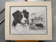 border encounter mounted print by artist mike sibley