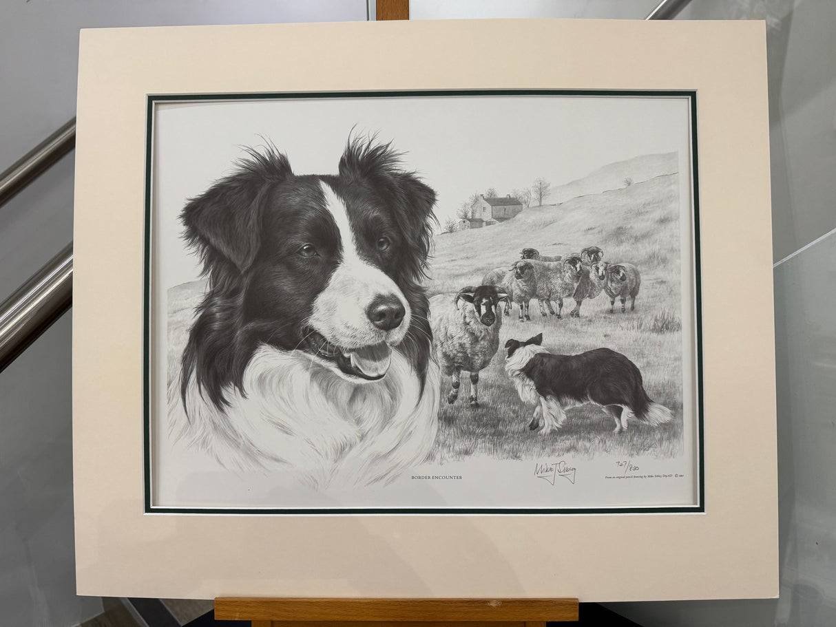 border encounter mounted print by artist mike sibley