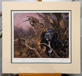 cocker flushing woodcock mounted print by artist mike sibley