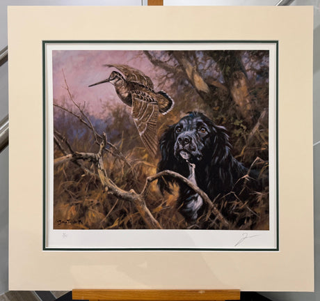 cocker flushing woodcock mounted print by artist mike sibley