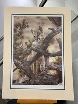 curiosity artist proof mounted print by artist steven townsend