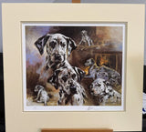 dalmations mounted print by artist mick cawston