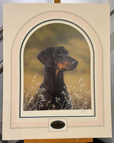doberman mounted print by artist john silver