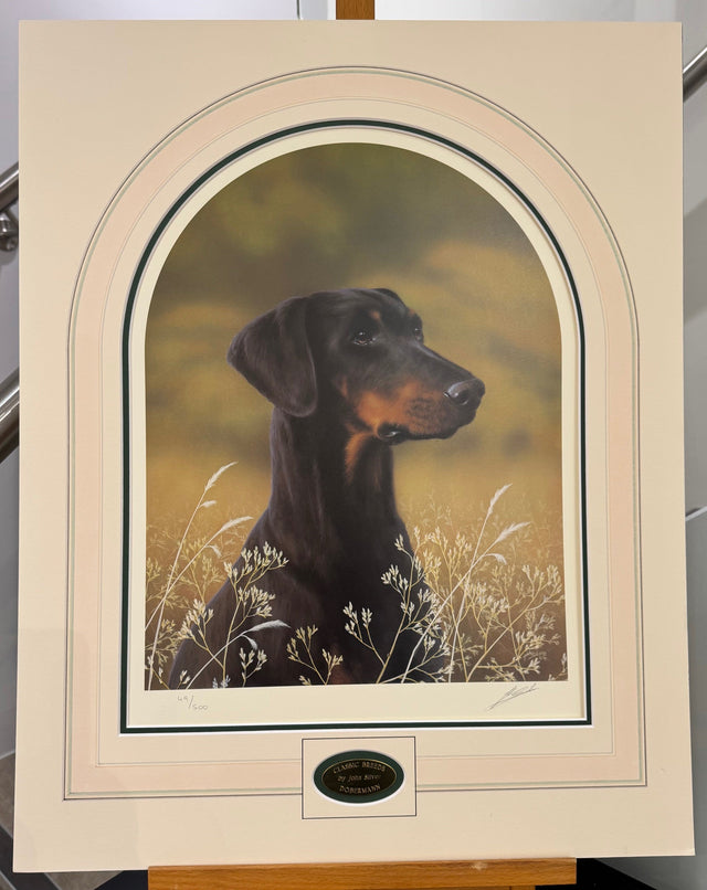 doberman mounted print by artist john silver