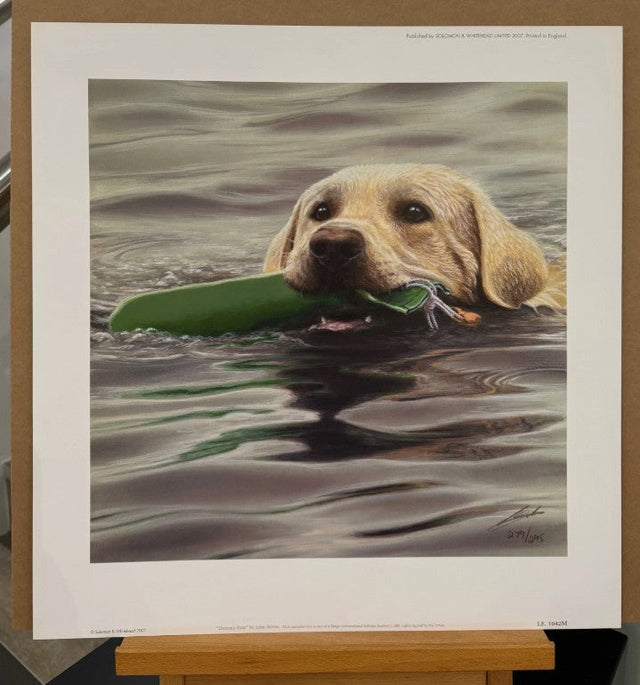 dummy run print by artist john silver
