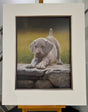 early morning exercise mounted print by artist john silver