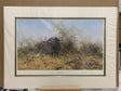egrets and friends mounted prints by artist daivd shepherd