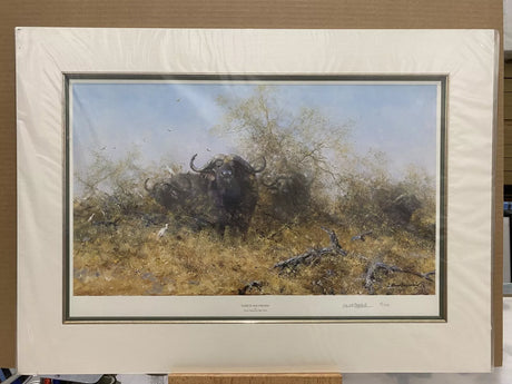 egrets and friends mounted prints by artist daivd shepherd