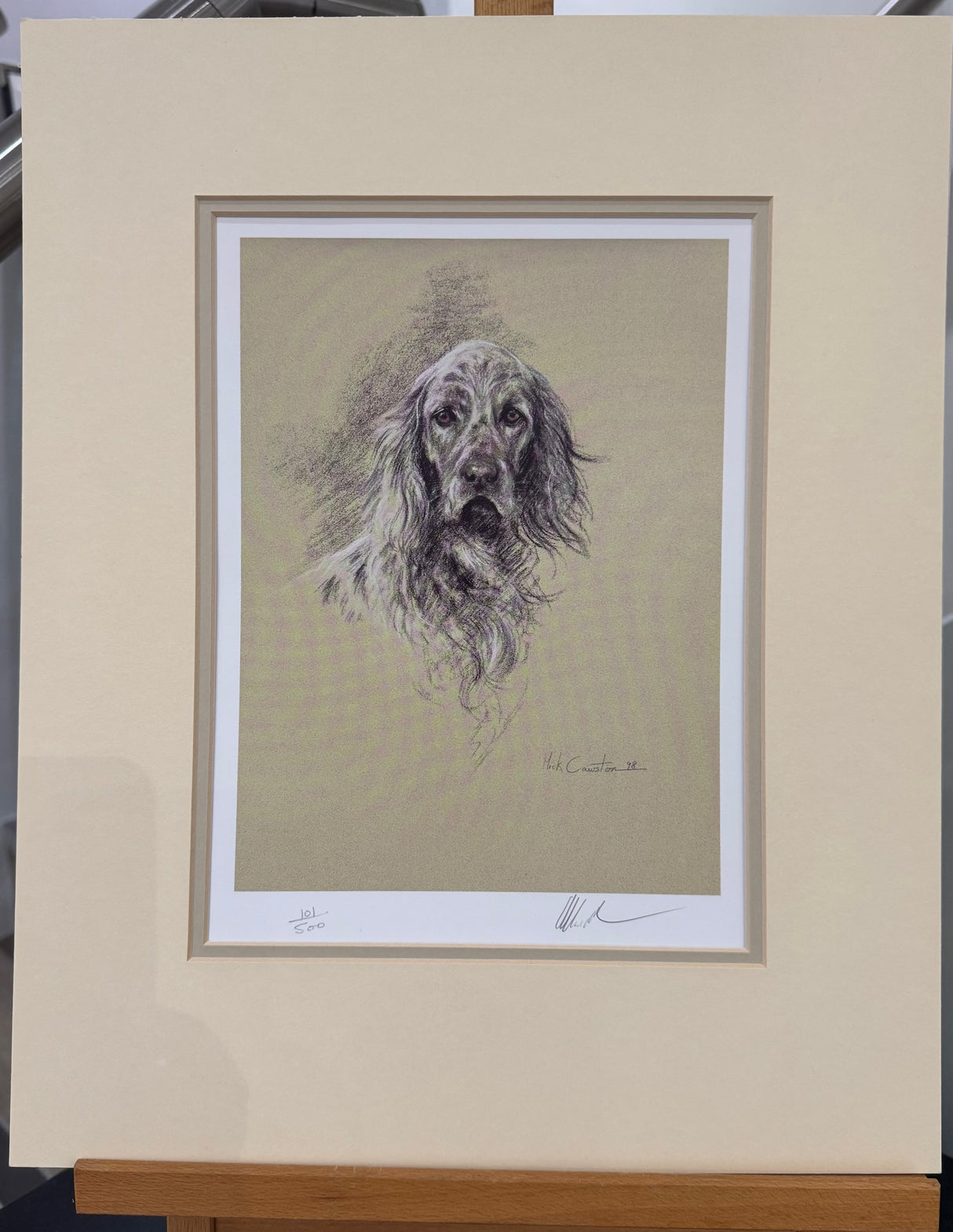 elegance the english setter mounted print by artist mick cawston