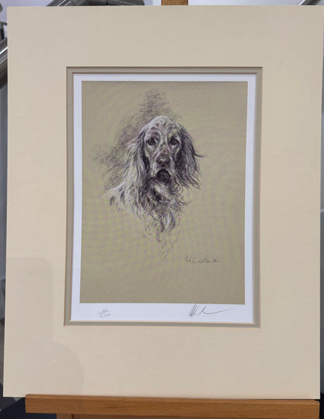 elegance the english setter mounted print by artist mick cawston